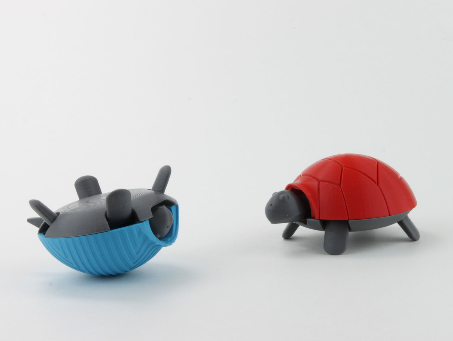 upside down 3d printed squishy turtle nature animal toy kids project design colorful